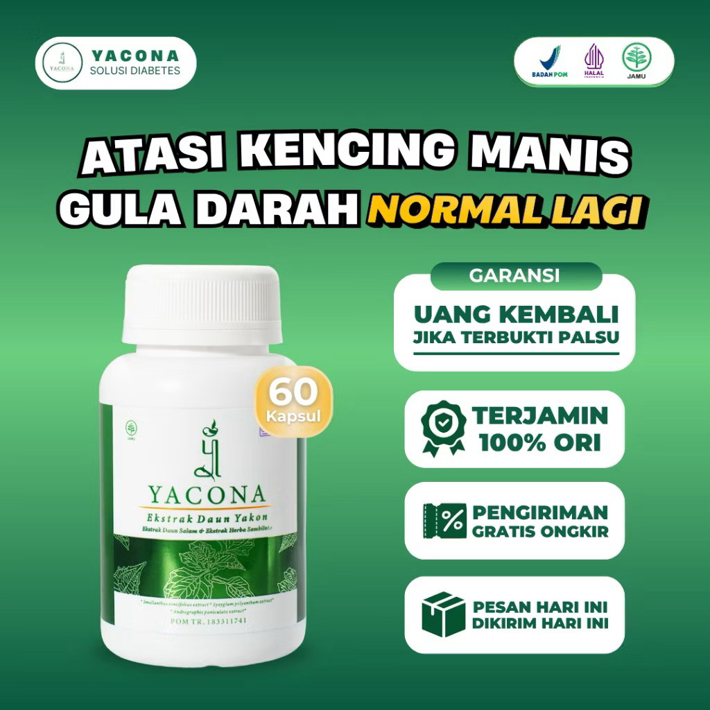 YACONA ORIGINAL kapsul herbal bantu ringankan gejala kencing manis