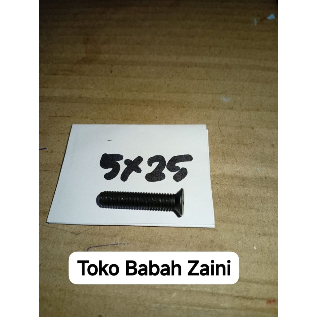 Baut Ulir Kepala Bor Drat Balik Bor 5×25 (13mm)