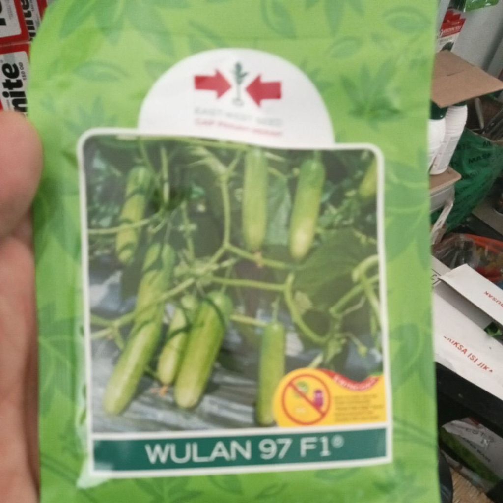 Benih Timun WULAN 97 F1 800BTR PANAH MERAH