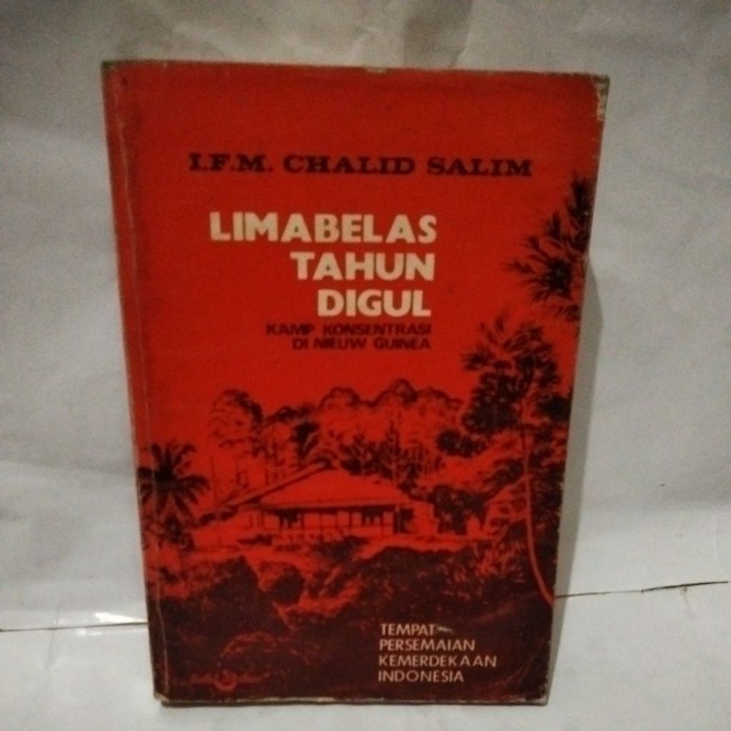 Limabelas tahun DIGUL ; kamp konsentrasi di Nieuw Guinea ( tempat persemaian kemerdekaan Indonesia )