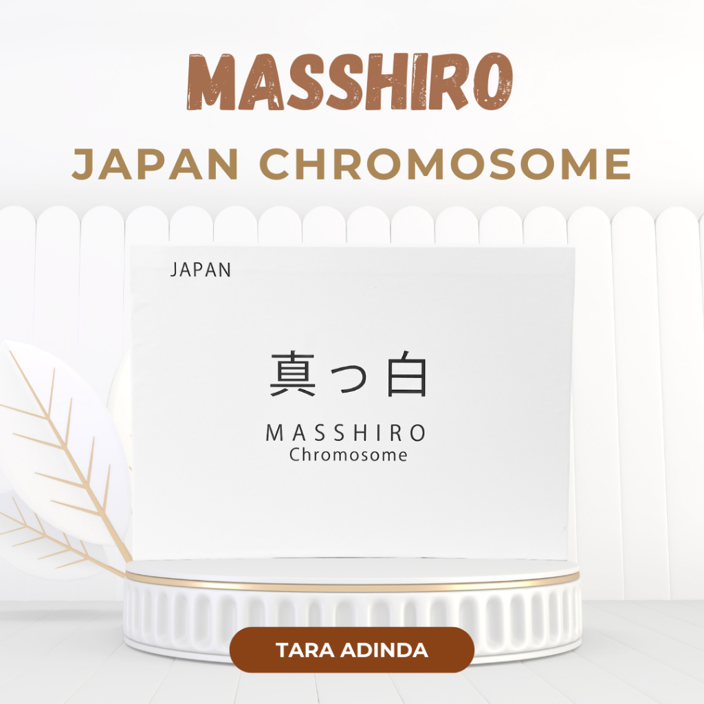 Masshiro Chromosome Japan BOX isi 4