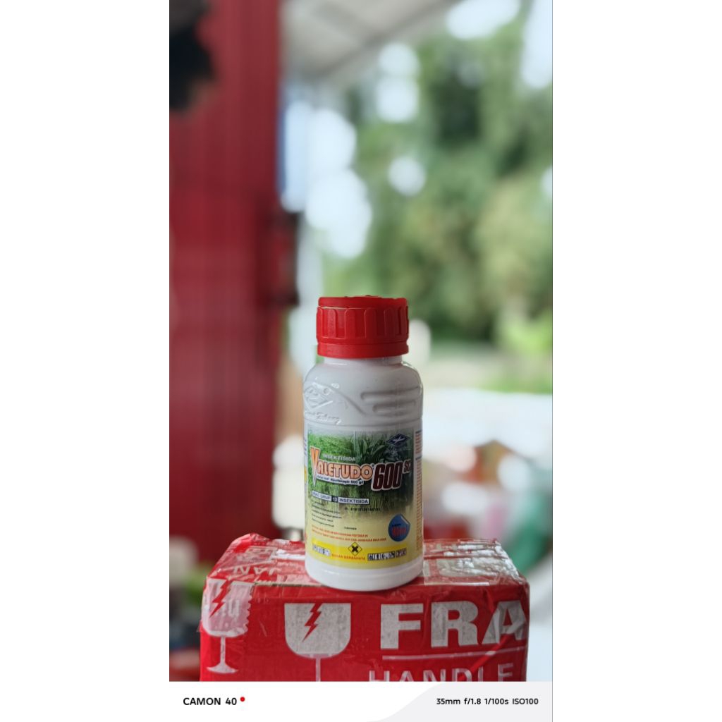 Insektisida Valetudo 60SC 100Ml Original