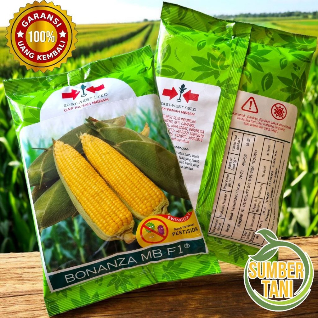 Bonanza MB F1 (3.600 Butir) Benih Jagung Manis Terbaru Pengganti Bonanza Now F1