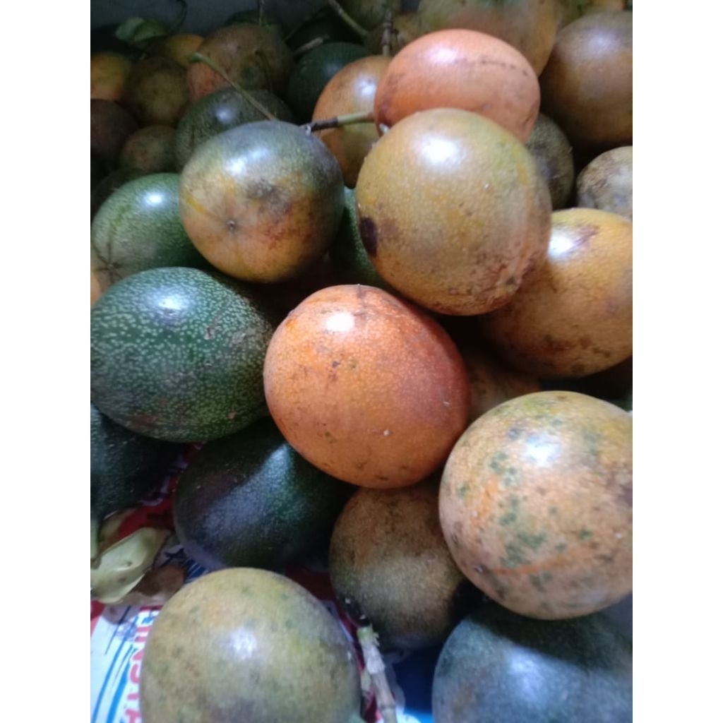 BUAH MARKISA SEGAR BERKUALITAS 1KG