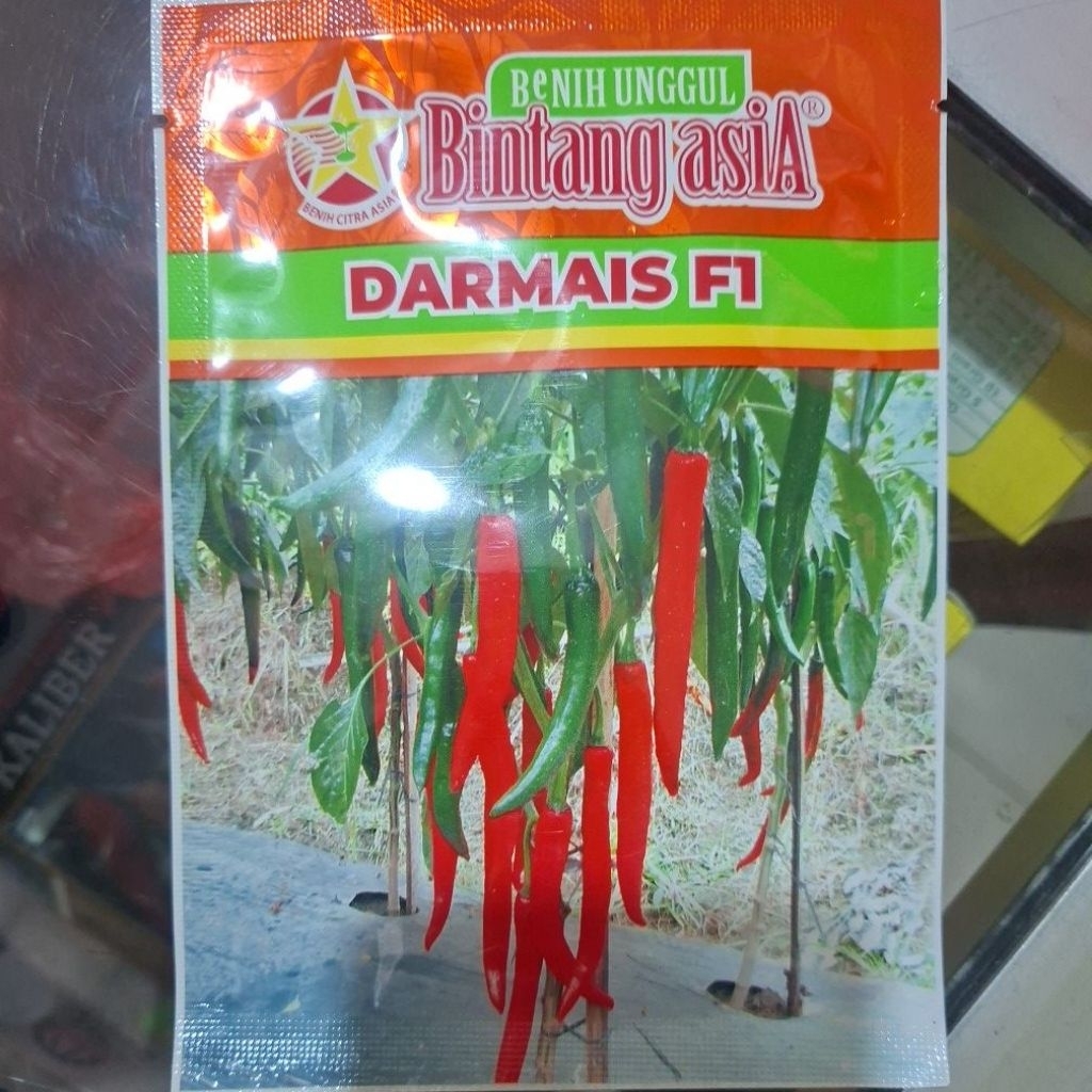 BENIH CABE BESAR DARMAIS F1, 10 Gr, ORIGINAL