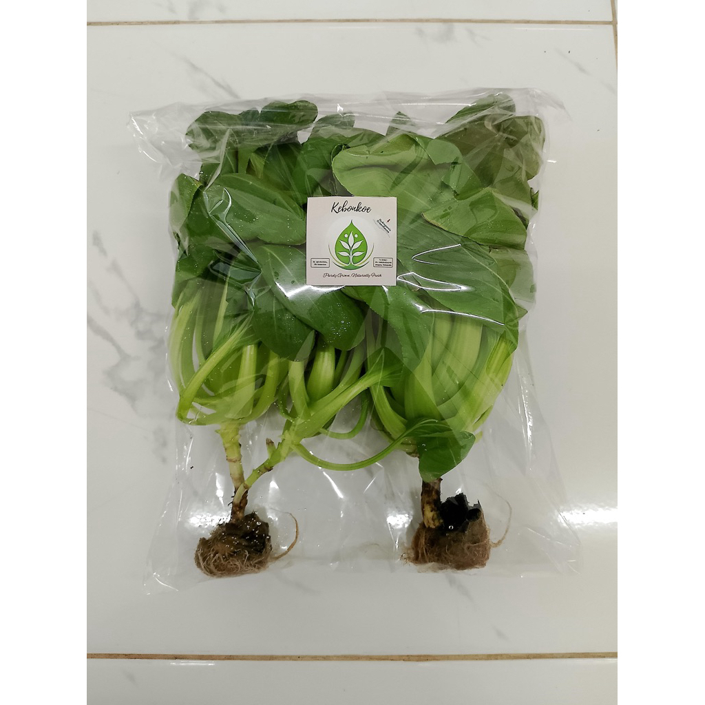 Sayuran Pakcoy Hidroponik fresh from the greenhouse per 250g
