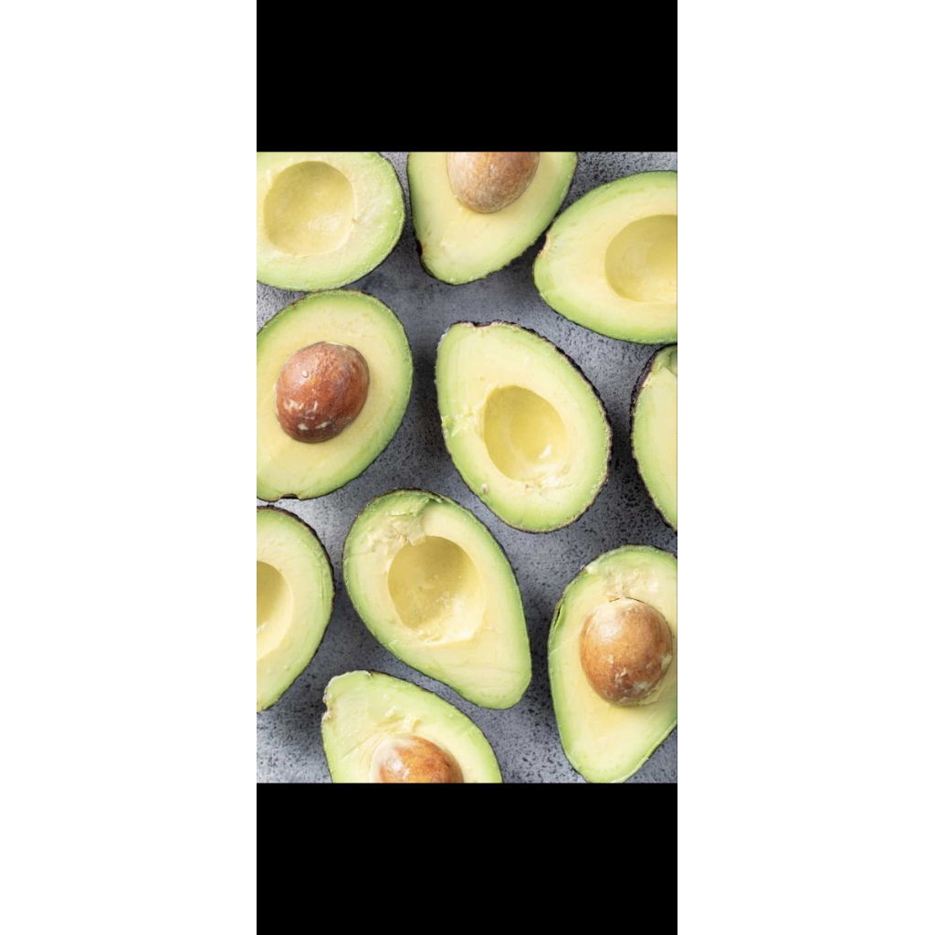 alpukat mentega segar mentah