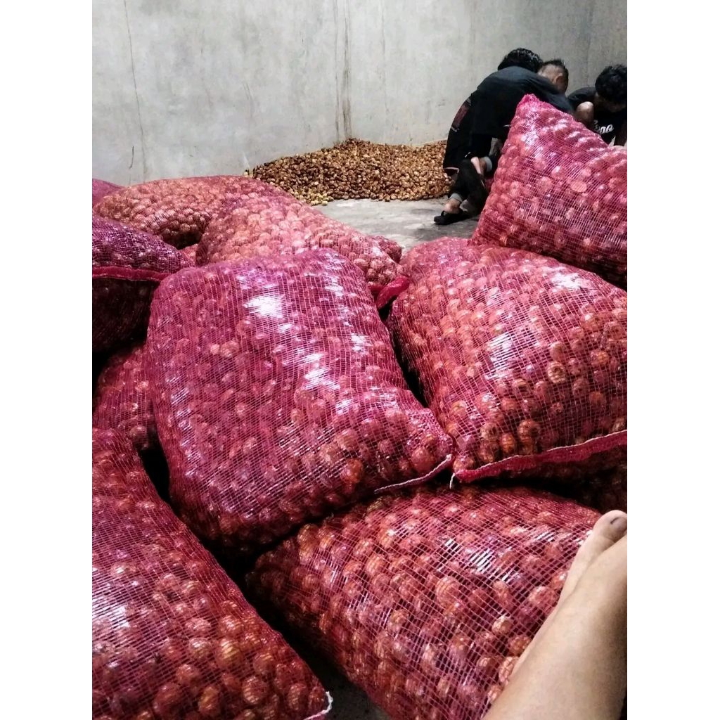 grosir jengkol kupas kalimantan