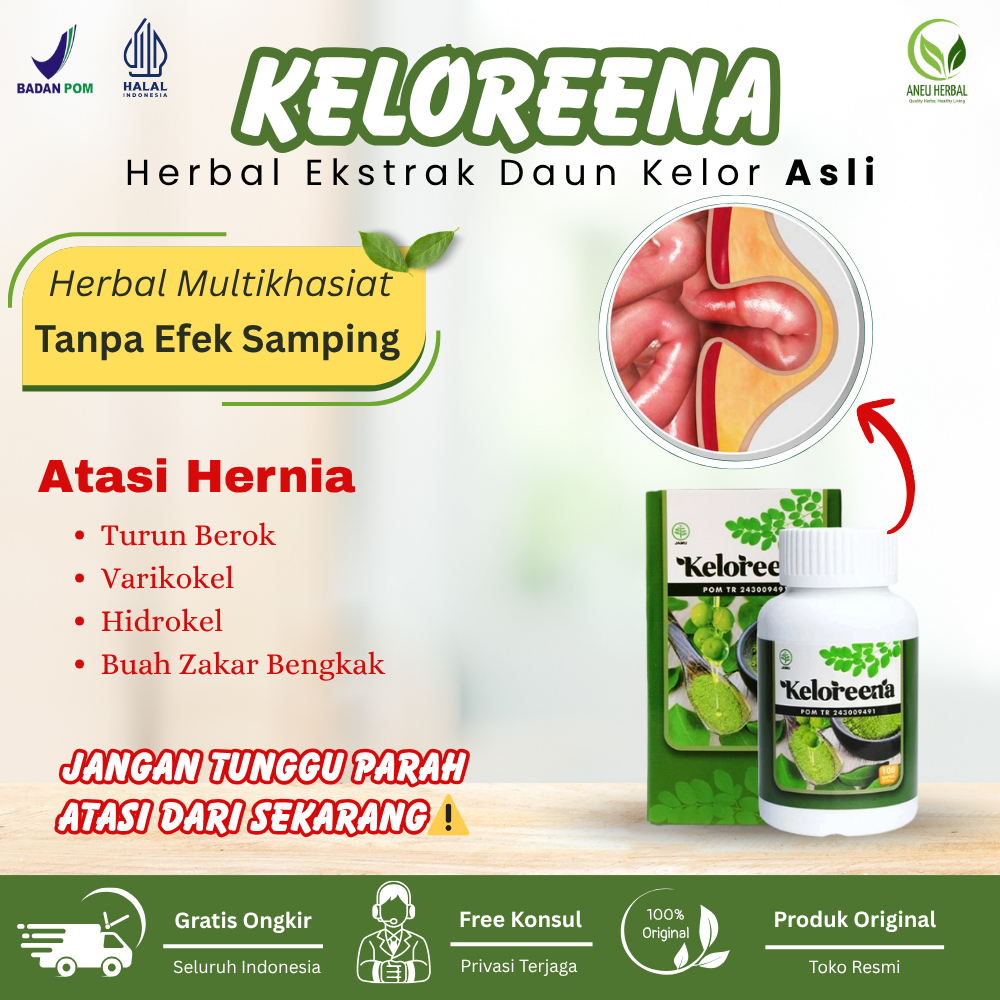 Obat Hernia, Varikokel, Hidrokel, Turun Berok, Buah Zakar Bengkak - Keloreena