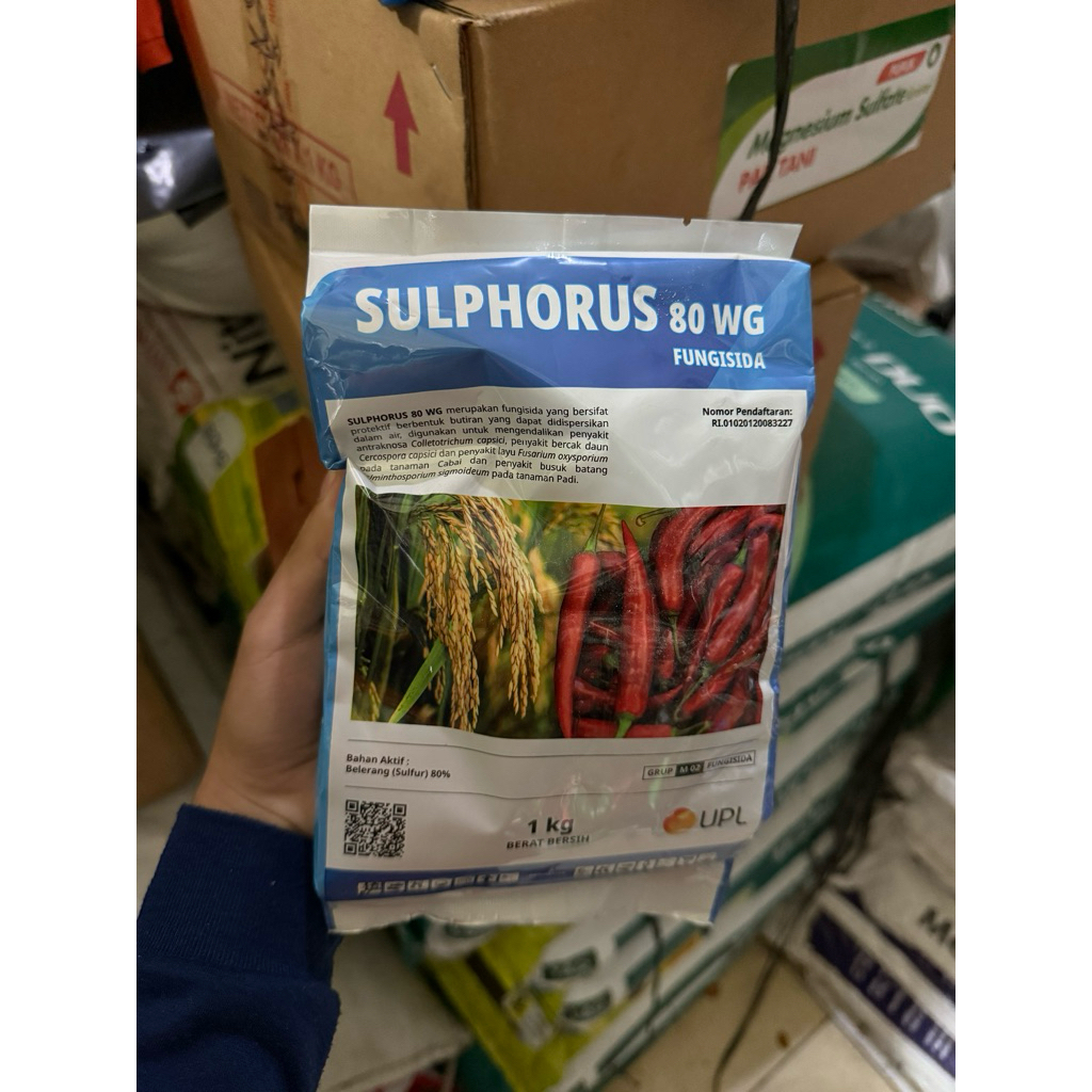 Fungisida Sulphorus 80WG isi 1 kg