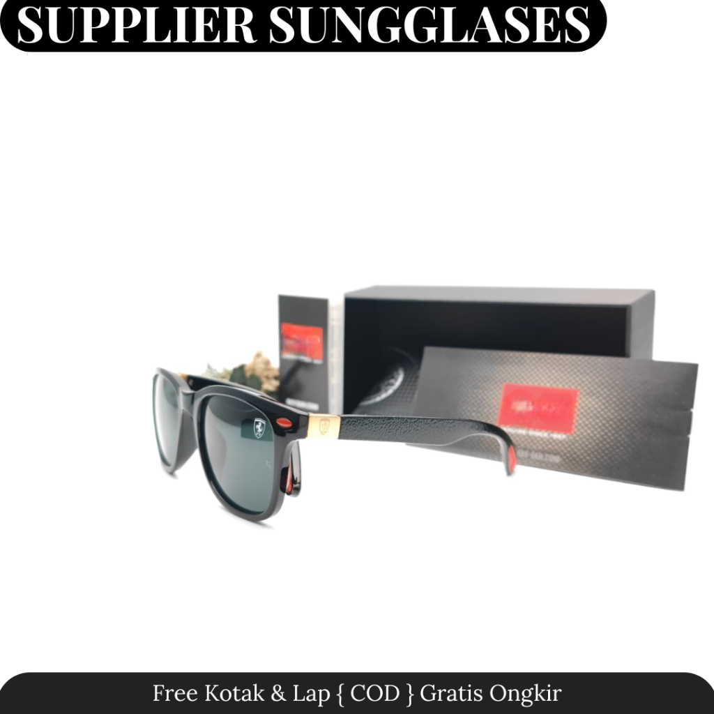 Kacamata Hitam Pria Fashion RB4195 Premium Anti UV Polarized - New