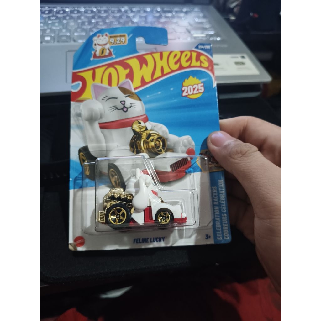 Hotwheels Feline Lucky