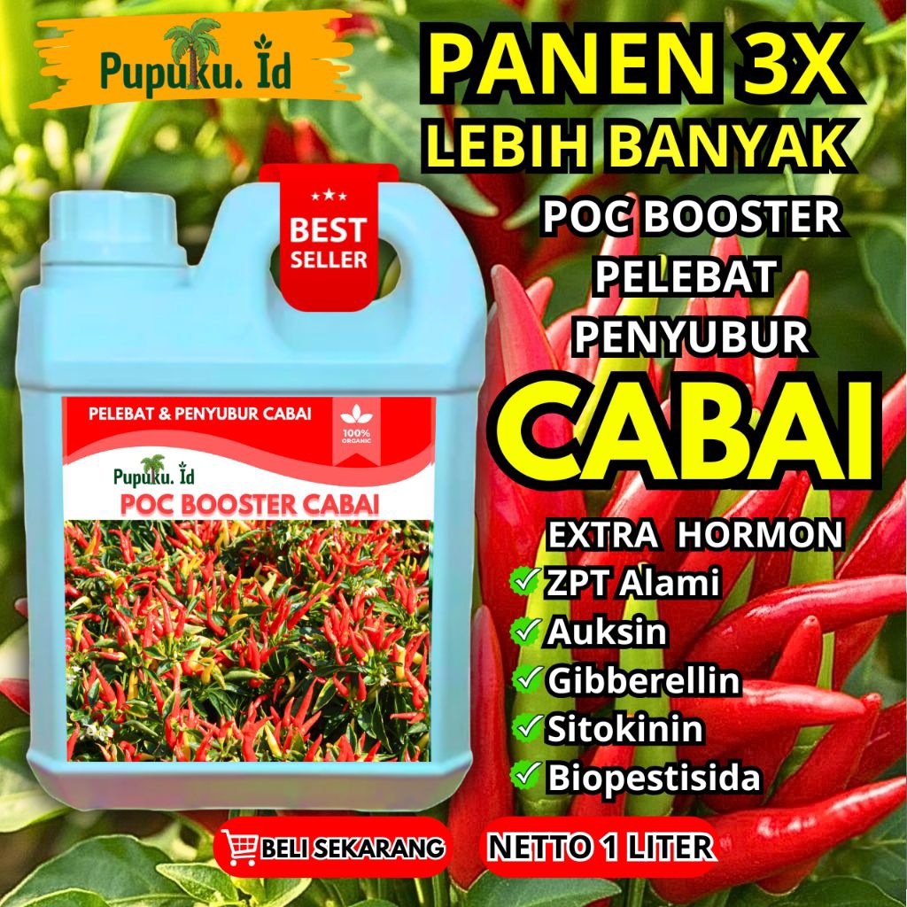 Pupuk booster cabai perangsang bunga dan pelebat buah anti rontok | pupuk pertumbuhan cabai agar cab