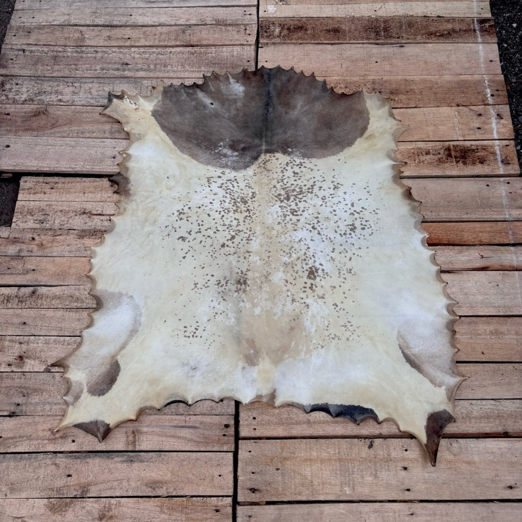 Kulit Kambing Natural lembaran