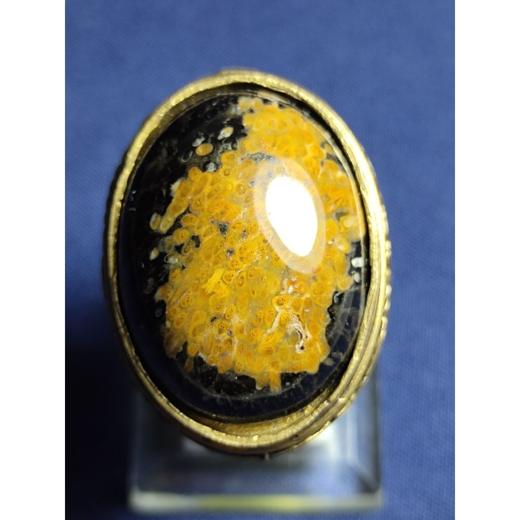 Natural Kelor Petrified Wood, GLADIATOR / Batu Fosil Kayu Kelor Serat Emas, GLADIATOR