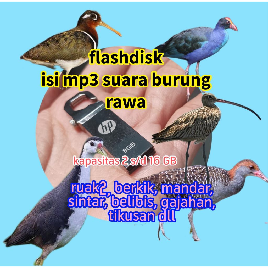 MP3 MUSIK BOX + FLASHDISK ISI MP3 SUARA BURUNG