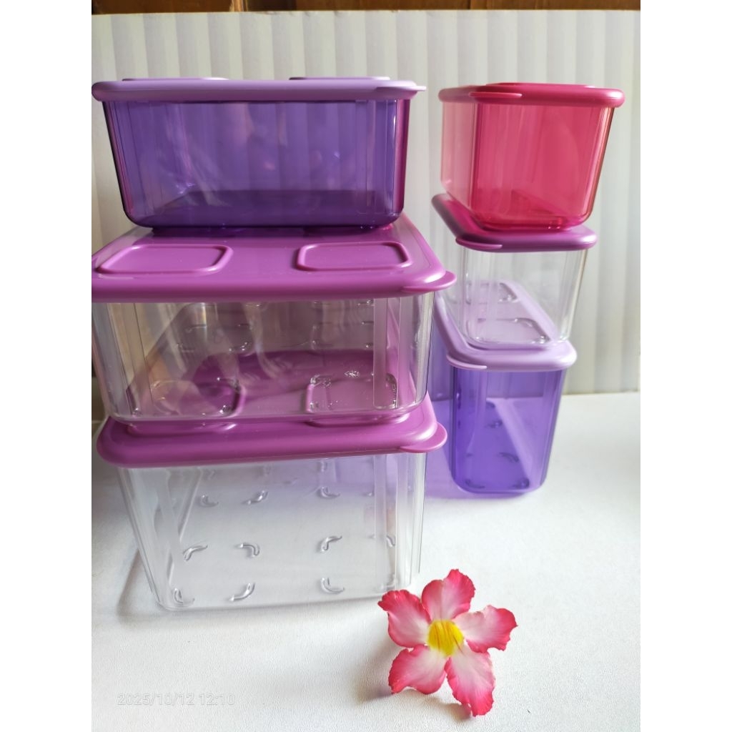 clear mate  tupperware(1pc)