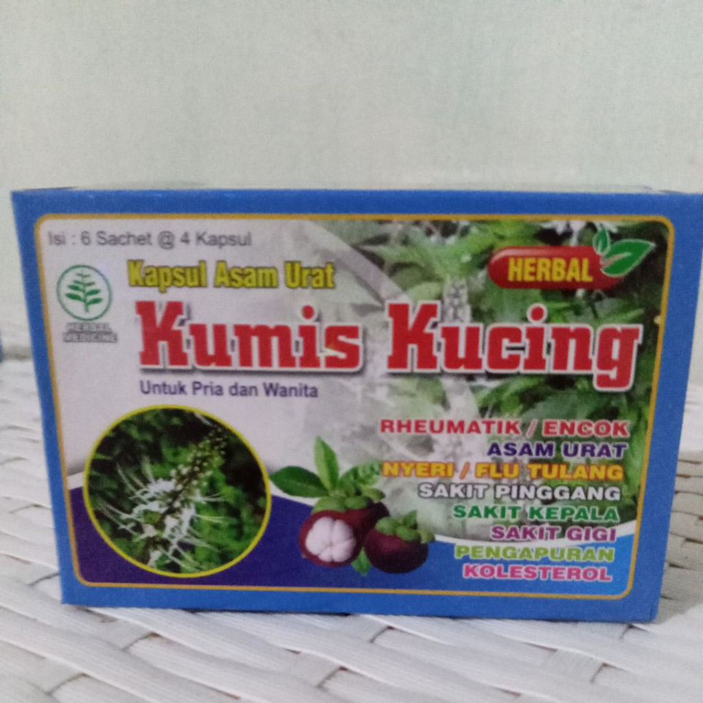 kapsul asam urat kumis kucing