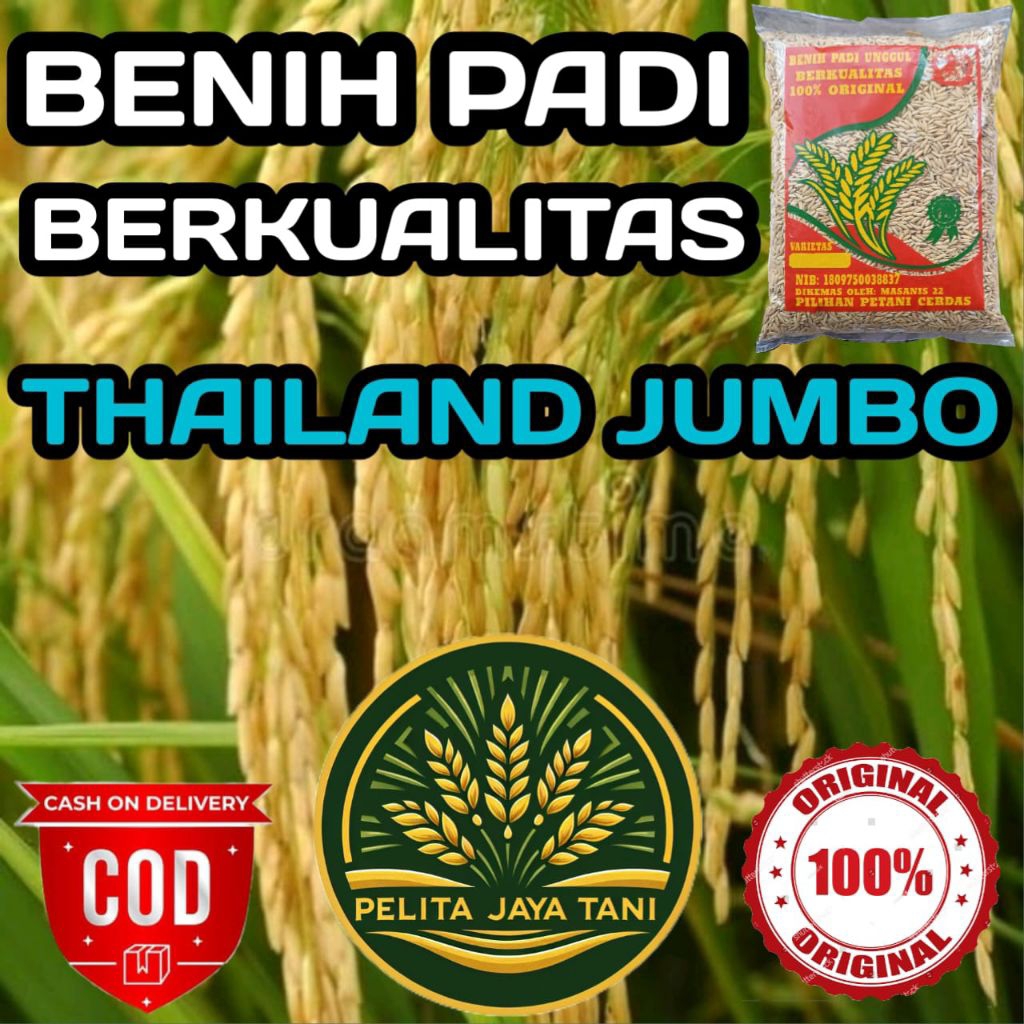 BENIH PADI THAILAND JUMBO ORIGINAL KEMASAN 5KG
