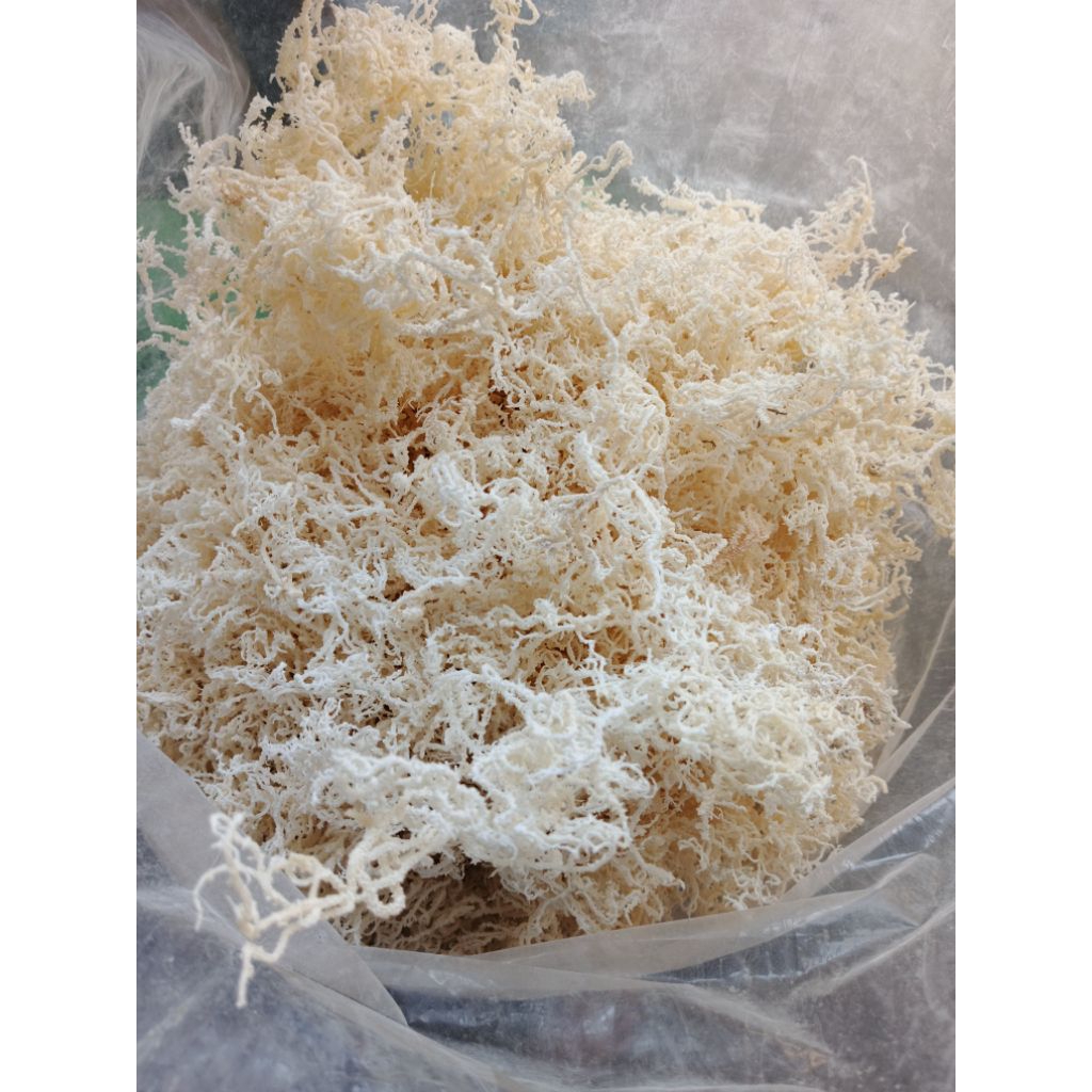 Rumput Laut Kering Kawat (100gr)