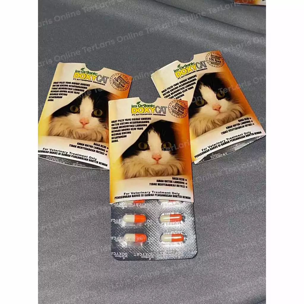 Doxycat ImOrganic Obat Flu Kucing Eceran PerBlister (ASLI BERHOLOGRAM) KEMASAN BARU HARGA/BLISTER