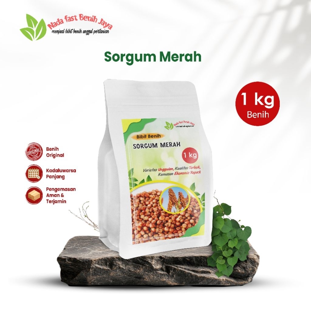 Bibit Benih Sorgum Merah 1kg - Varietas Unggulan Kualitas Terbaik