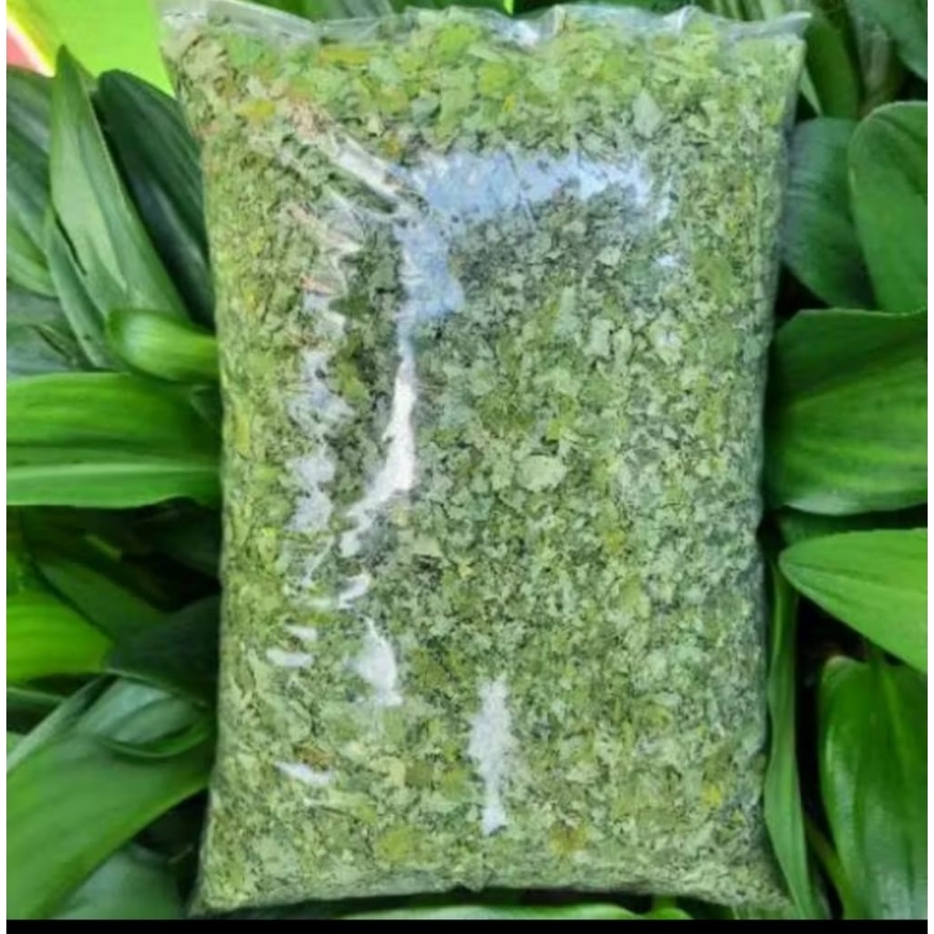 Daun kelor kering organik 500gram