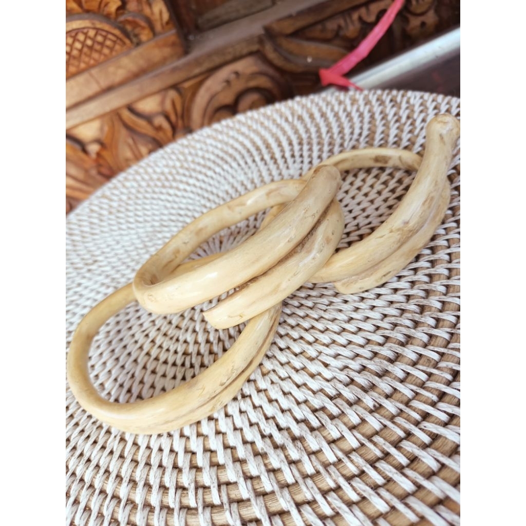 Gelang Akar Bahar Putih sedang