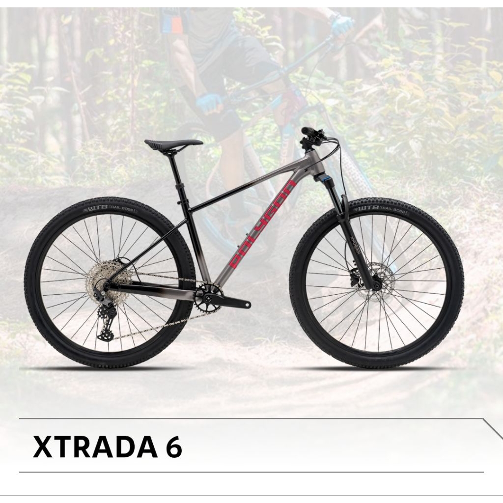 SEPEDA GUNUNG MTB POLYGON XTRADA 6 (1x11)