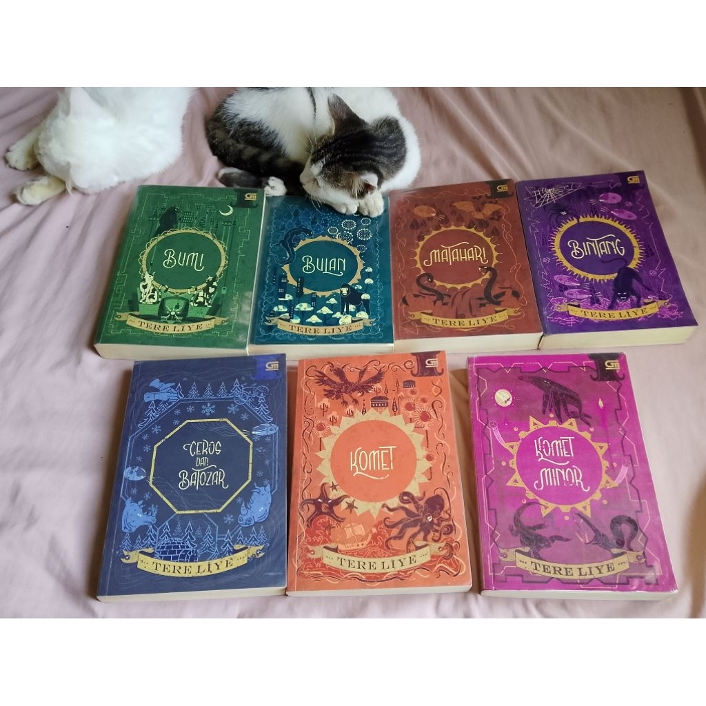Novel Preloved Original - Bumi Series