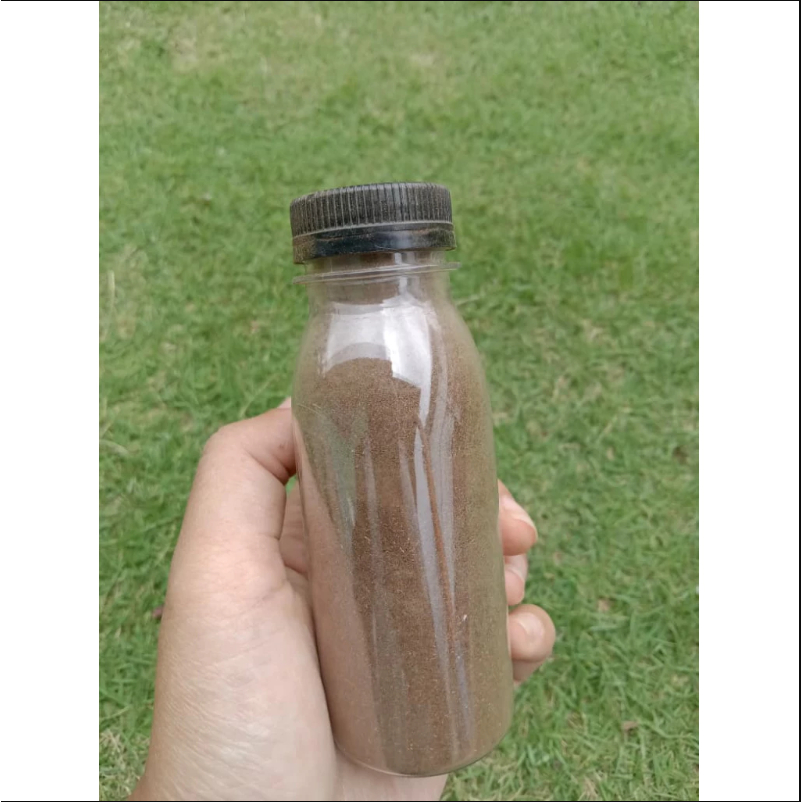 50 Gram Bubuk Biji Mahoni / Serbuk Biji Buah Mahoni / Tepung Biji Mahoni