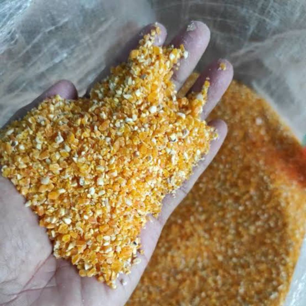 pakan unggas / pakan ayam / pakan hewan jagung giling 1kg berkualitas/pakan/jagung giling