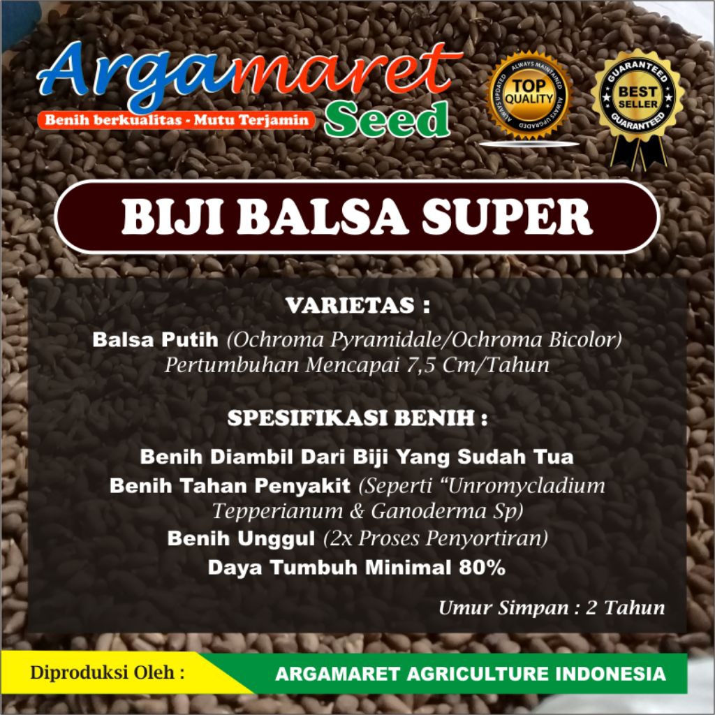 (1 KG) Biji Balsa Putih Super Original Varietas Unggulan