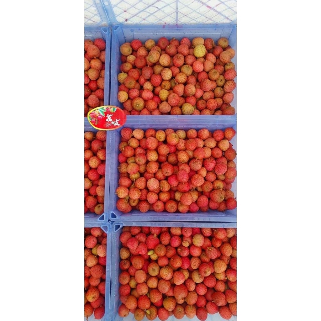 buah leci madu segar