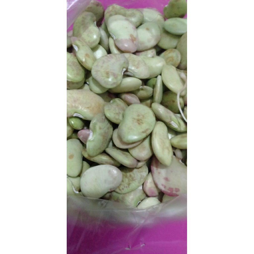Kacang KORO Hijau mentah