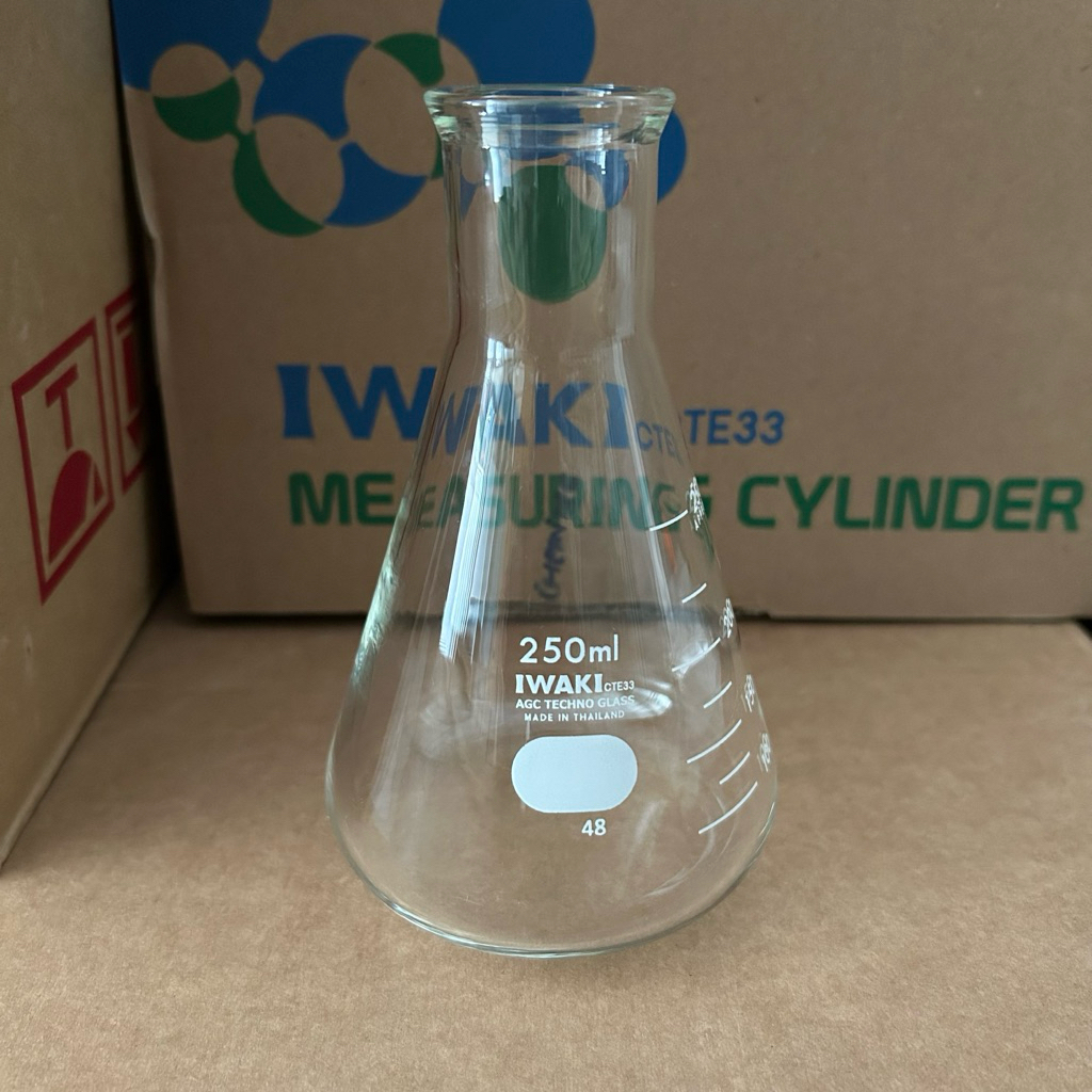 IWAKI Erlenmeyer Flask 250ml (4980-250N)