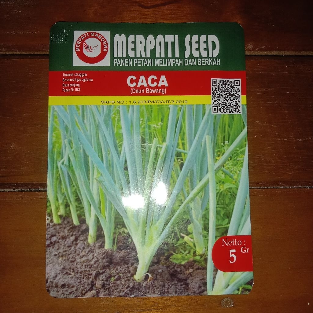 BIBIT DAUN BAWANG CACA MERPATI SEED 5 GRAM.