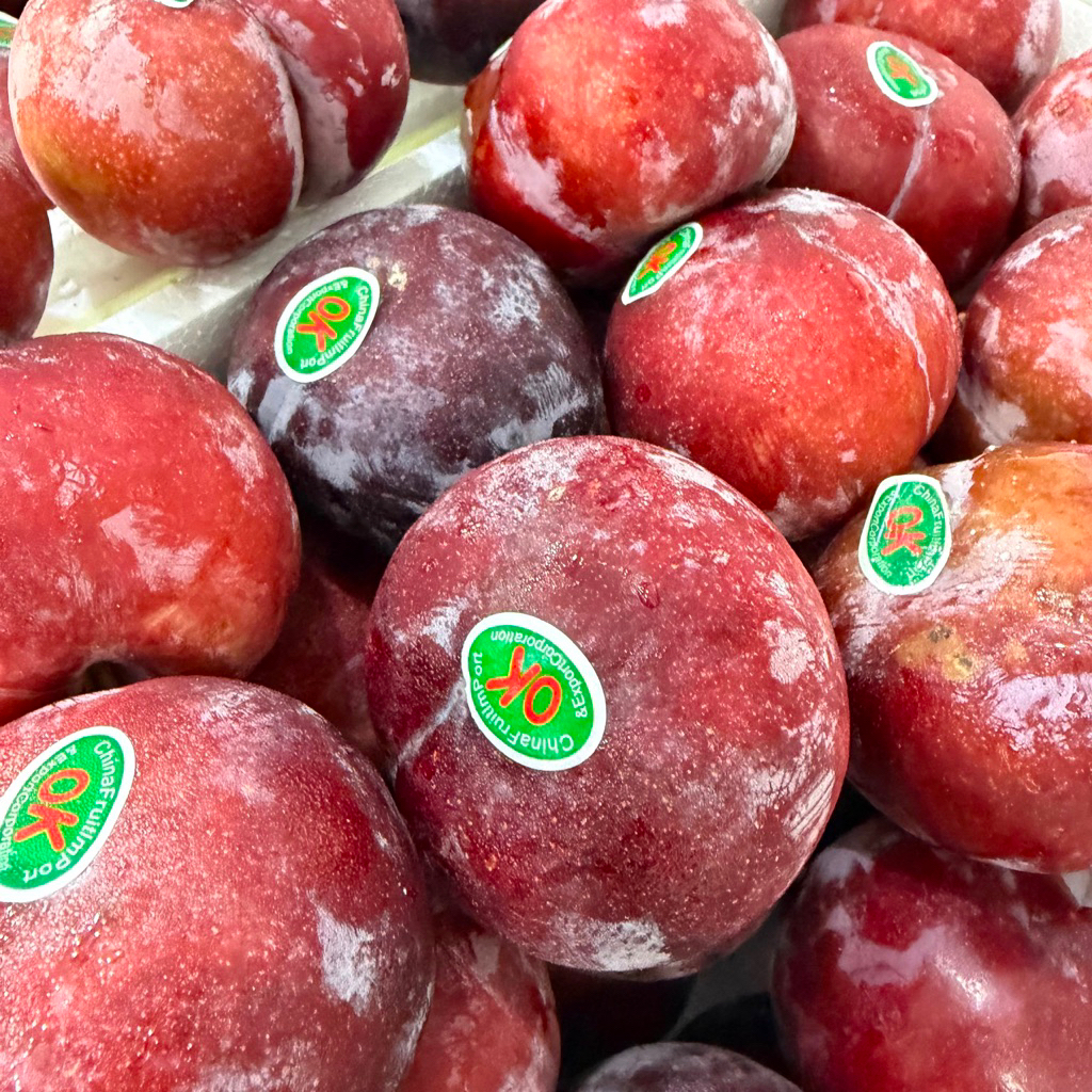 RED PLUM RRC ASEM | Buah Plum Merah