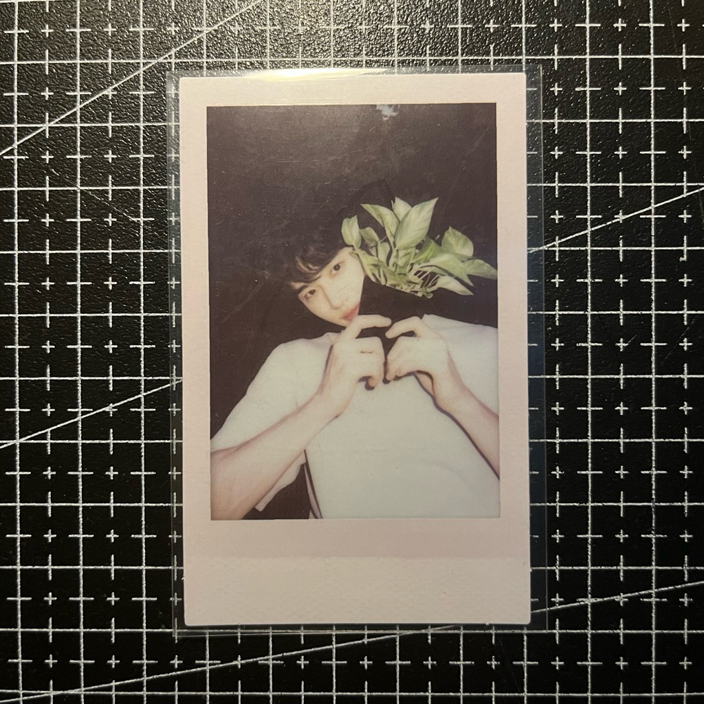 Byeon Wooseok Season Greatings 2025 Polaroid Photocard