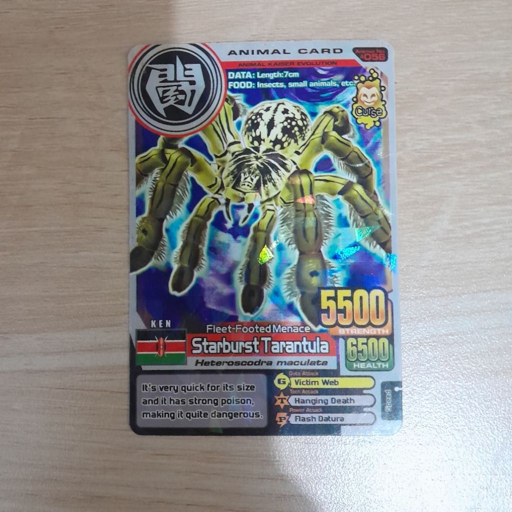 Kartu Animal Kaiser Starburst Tarantula KW