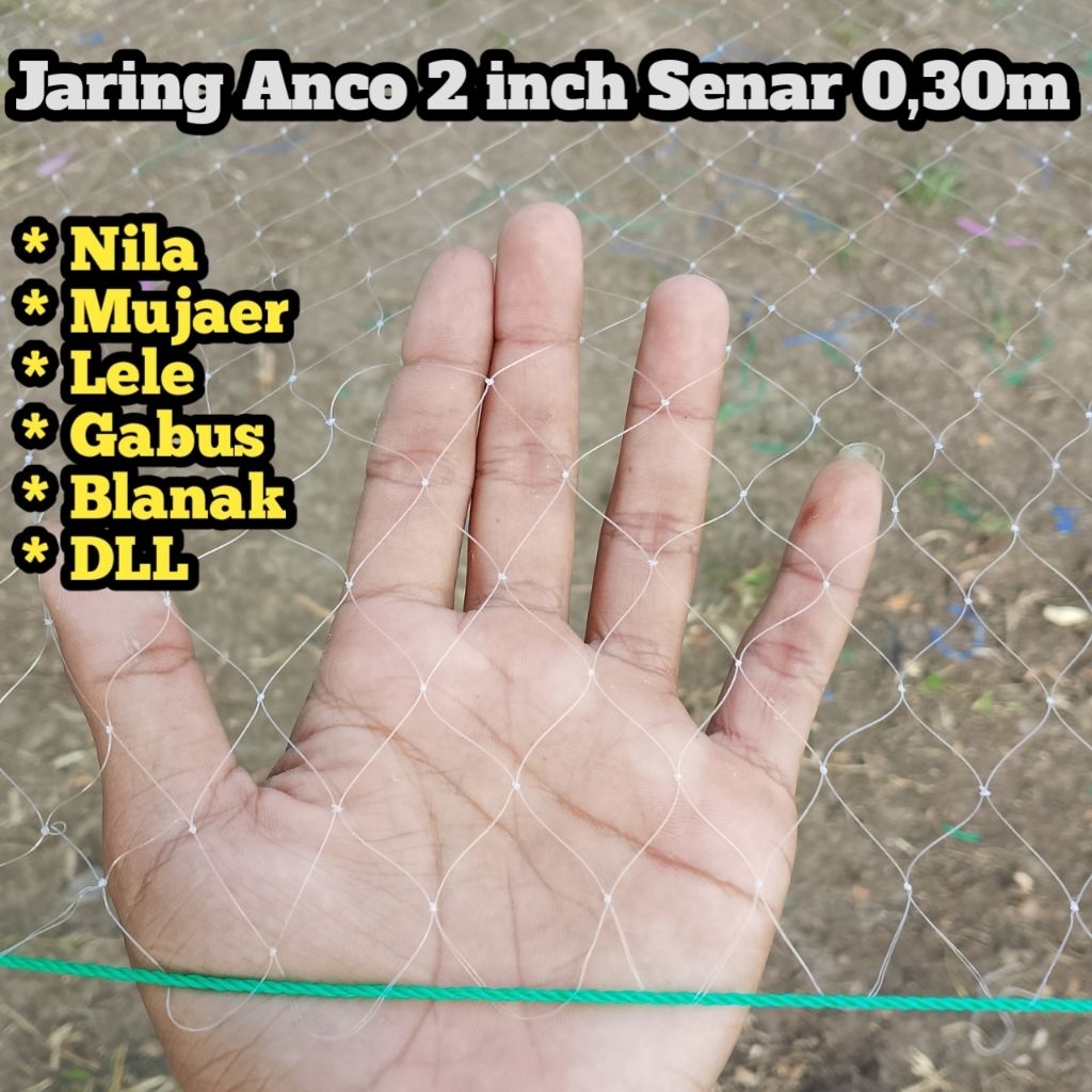 Jaring Anco 3×3 meter lubang 2 inch senar 0,30m mampu angkat lebih 2kg ,Branjang ikan,tangkul,hancau