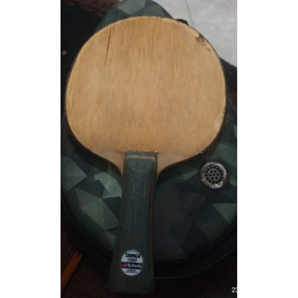 bed ping pong gergely alpha