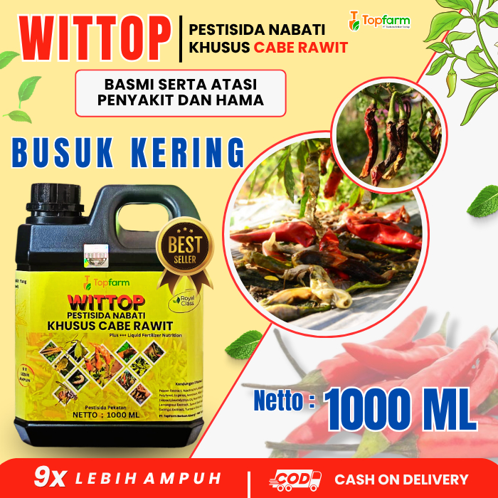 Obat Busuk Kering Cabe Rawit / Obat Penyakit Cabe / Obat Busuk Buah Cabe / Obat Anti Jamur Cabe / Pe