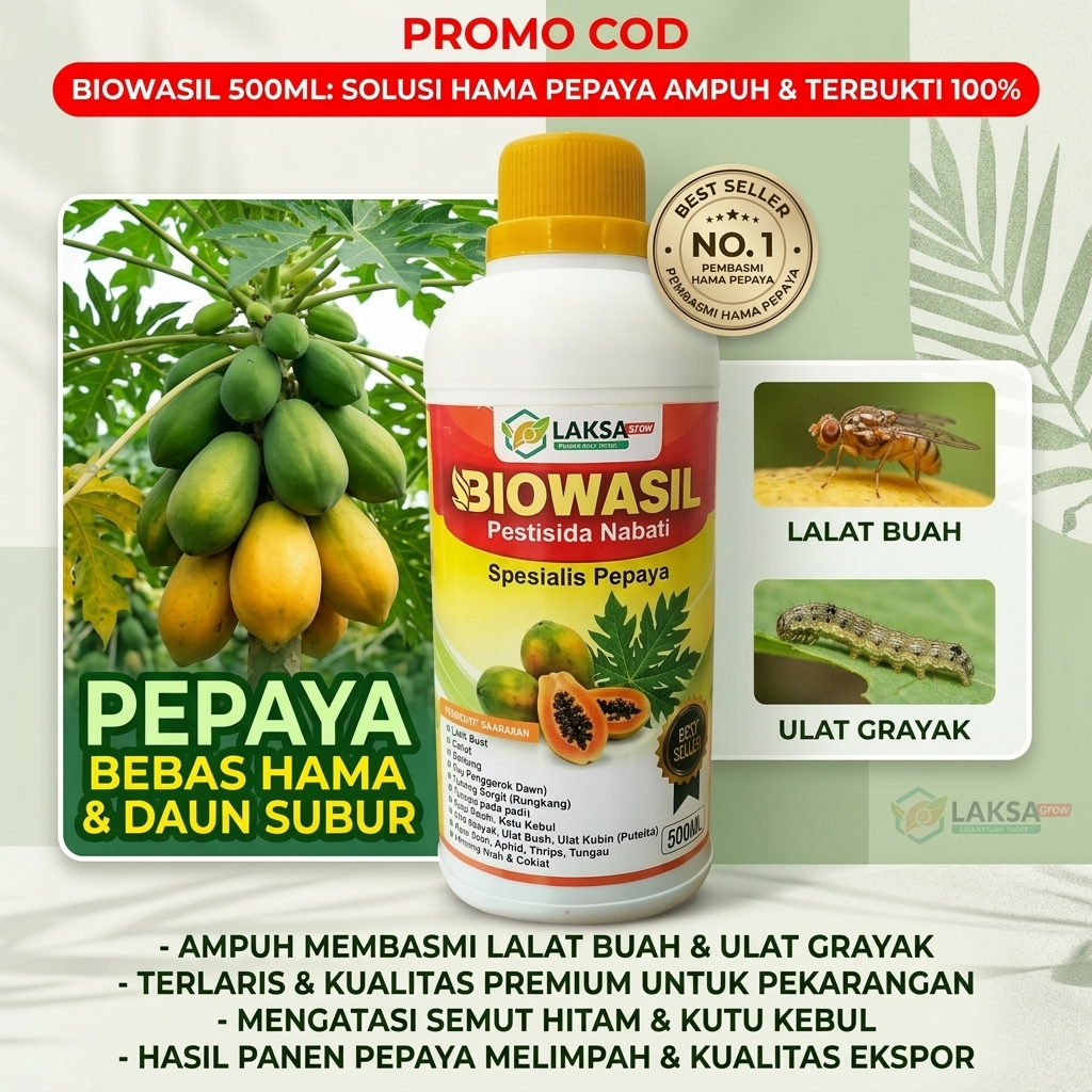 500ML BIOWASIL Pestisida Nabati untuk Pepaya - Obat Hama buah pepaya,Hama lalat,ulat grayak,semut hi