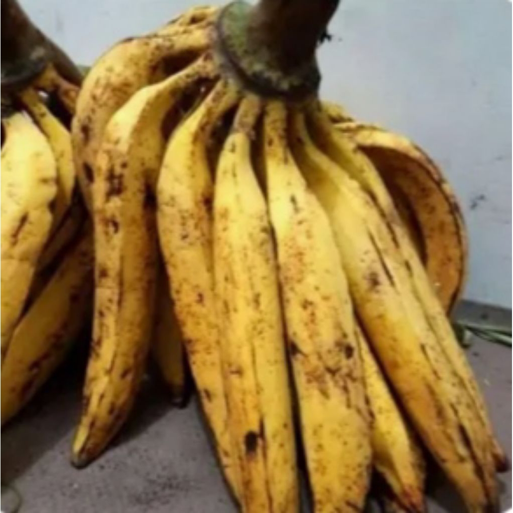 Pisang Tanduk 1 kg