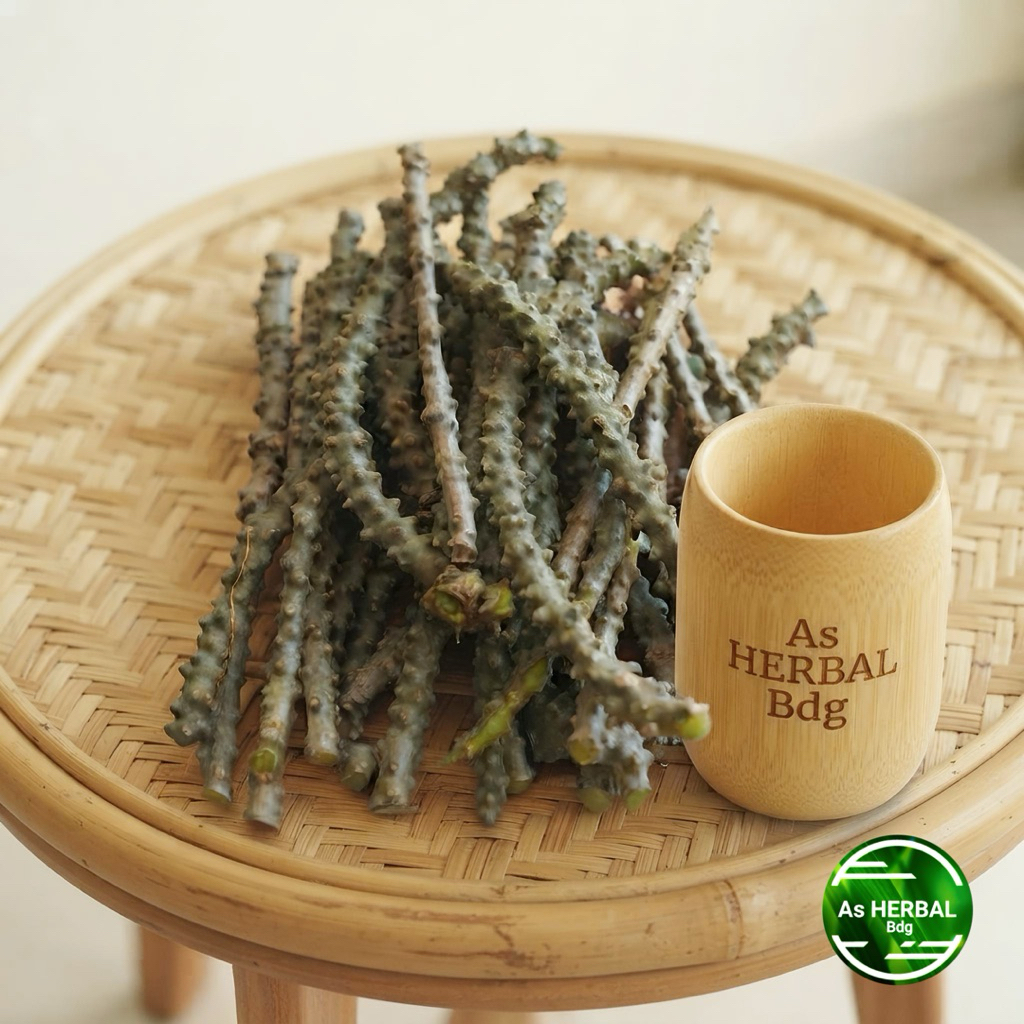 Brotowali segar / batang brotowali 250 gram-az