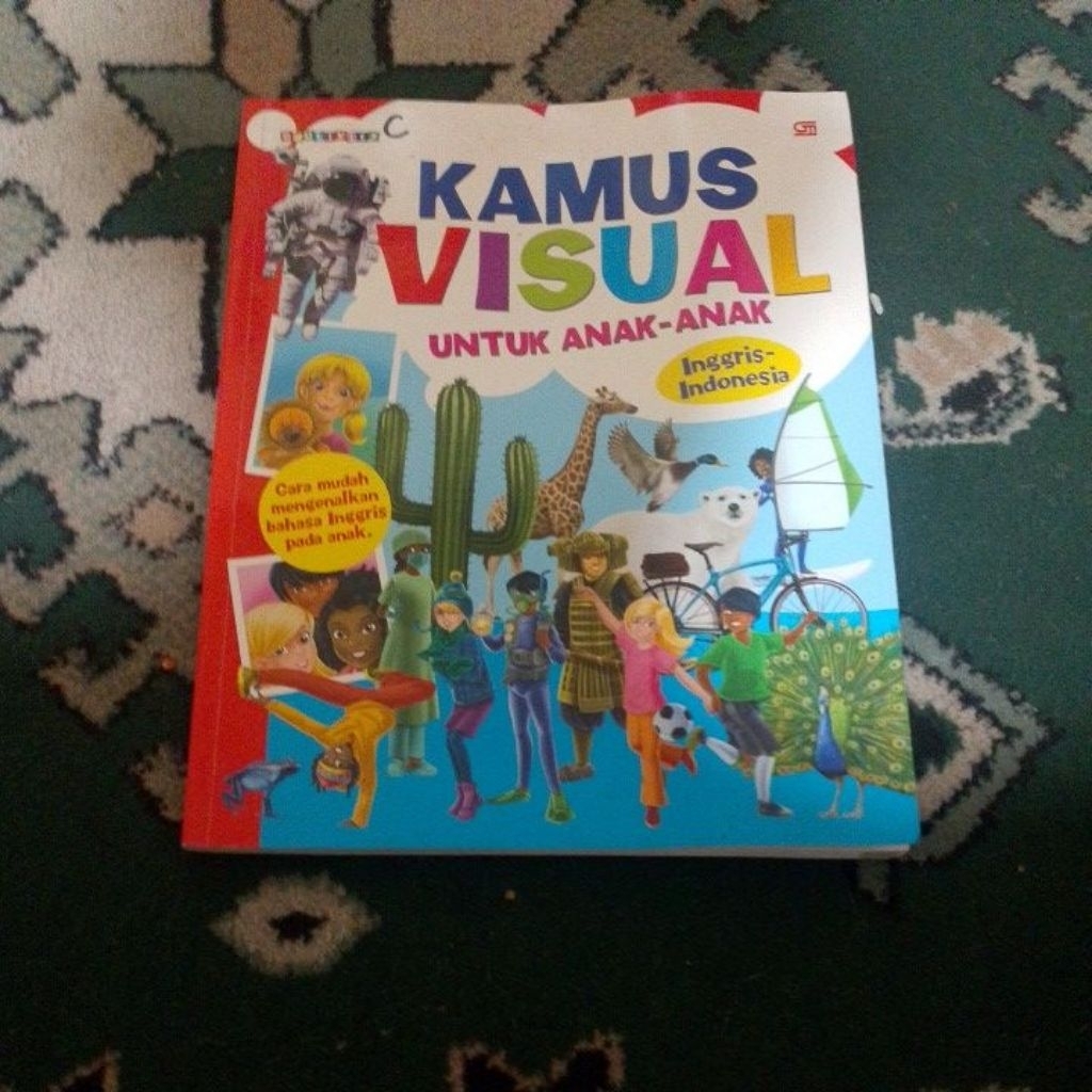 kamus visual
