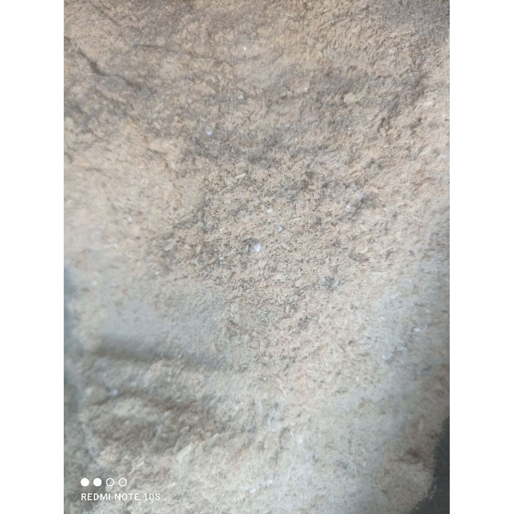 dedak bekatul beras pakan ternak