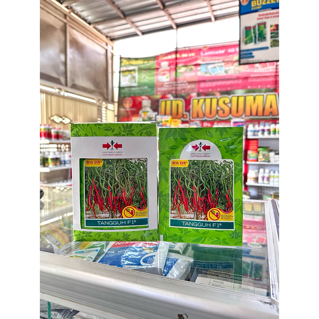 Cap Panah Merah Benih Cabai Tangguh F1 Varietas Merah Keriting Hibrida Unggulan Produktivitas Tinggi
