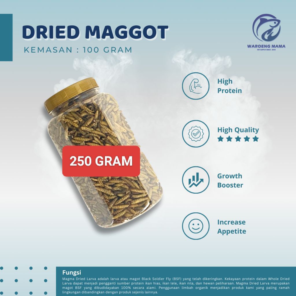Dried Maggot / Dried Magot / Dry Maggot / Dry Maggot / Kemasan 250 gram